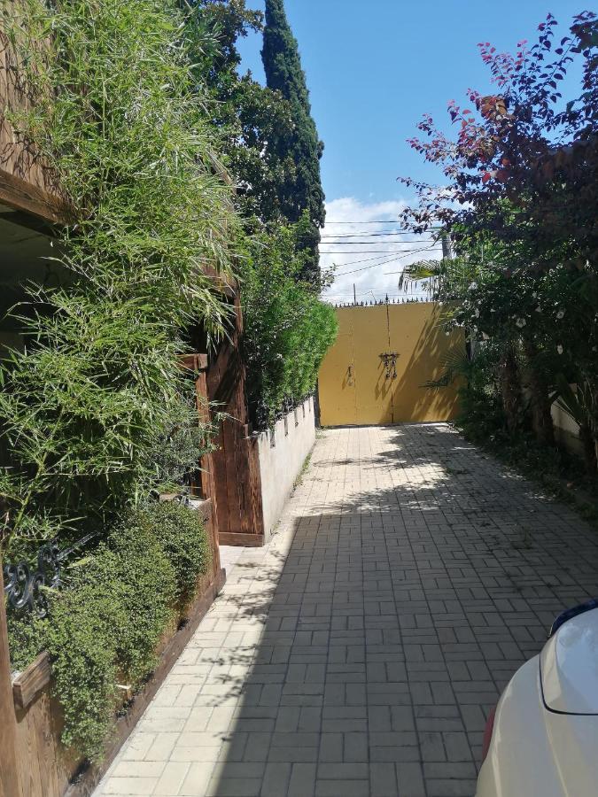 Отель Гостевой дом Магнолия Сухум Экстерьер фото